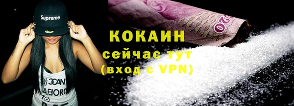 гидра Абаза