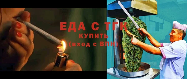 гидра Абаза