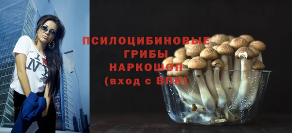 гидра Абаза