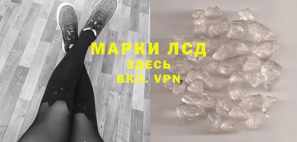 гидра Абаза