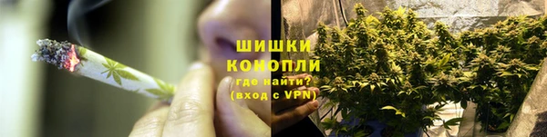 гидра Абаза
