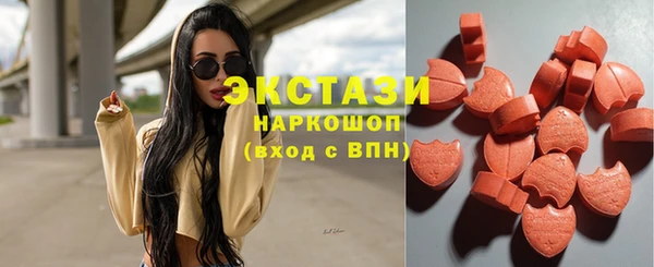 гидра Абаза