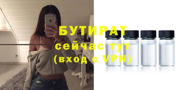 индика Лабытнанги