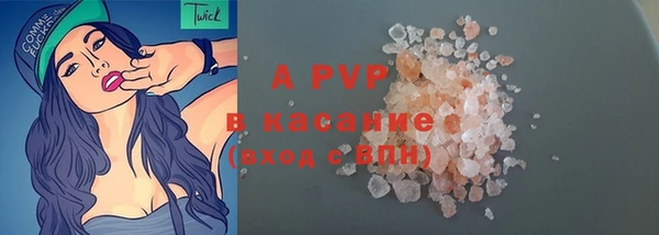 гидра Абаза