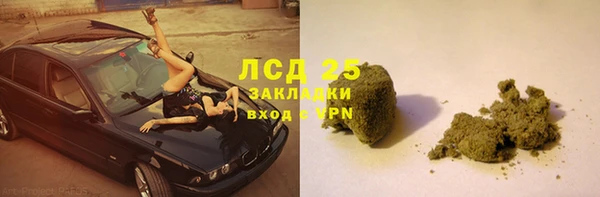 гидра Абаза