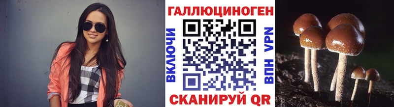 Галлюциногенные грибы мицелий  наркота  Галич 